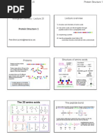 Biochemistry Lecture Notes (Protein Structure 1)