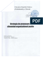 Strategia de Promovare A Climatului Organizational Pozitiv