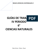 6° Guías de Trabajo 4 Periodo Naturales PDF