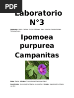 Laboratorio 3