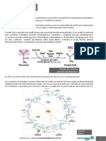 Ciclo de Krebs