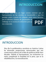 Hacinamiento en Los Centros Penitenciarios Del Perú DIAPOSITIVAS DE SMALL!!! LISTOOO!!