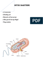 Karakteristik Bakteri