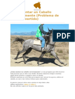 Cómo Montar Un Caballo Correctamente