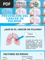 Rotafolio Del Cancer de Pulmon 