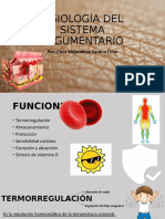 Fisiología Del Sistema Tegumentario