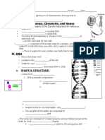 DNA - Student Notes