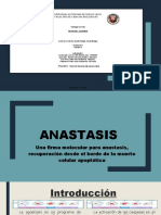 ANASTASIS Seminario