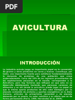 AVICULTURA 