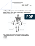 Prueba Sistema Locomotor