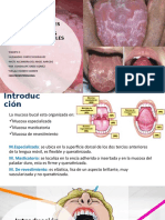 Manifestaciones Bucales