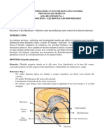 Guia 1 Endocrino Eje Hipotalamo Hipofisis PDF