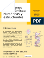 Seminario 1 Embriología: Alteraciones Cromosomicas