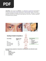 Jaundice