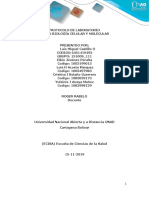 Informe de Laboratorio-Biologia Celular y Molecular