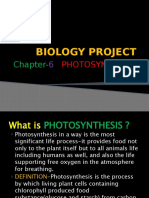 Biology Project KB