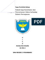 Tugas Portofolio Biologi: Bahaya Rokok Bagi Kesehatan Dan Pengaruh Pencemaran Udara Terhadap Sistem Pernapasan