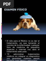 Examen Físico