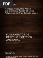 FUNDAMENTOS DE DERECHO Y GESTIÓN AMBIENTAL Francisco Carruitero Lecca y Víctor Rojas Luján