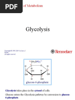 Glycolysis