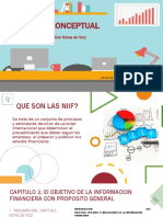 Niif Resumen de Capitulos 1,3 y 4 - Notas de Voz