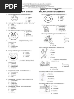 Bimestral Ingles 7