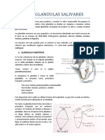 Tema 4. GLÁNDULAS SALIVALES