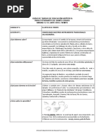 Guías de EDUC. ARTÍSTICA. 5° GRADO