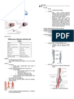 Assessment of The Peripheral Vascular System