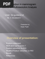 Lesion Detection in Mammogram Lesion Detection in Mammogram Based On Multiresolution Analysis