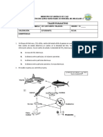 Quimica 11 PDF