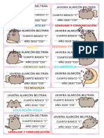 Javi Pusheen