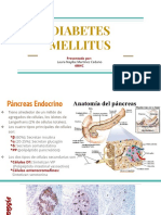 Diabetes Mellitus PDF