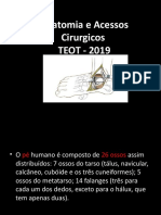 Anatomia Aplicada Aos Acessos Cirurgicos 2019