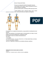 Osteologia Anatomia Generalidades PDF