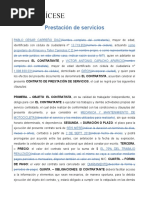 VB19 Contrato de Prestacion de Servicios