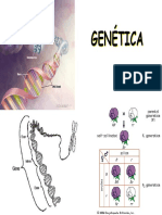 Taller 1 y 2 de GEN TICA PDF