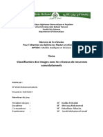 Classification Des Images Avec Les Reseaux de Neurones PDF