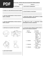 Cuestionario Eca 2bgu 1er Quimestre Vacio