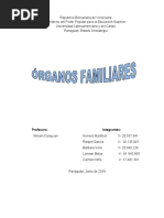 Trabajo Derecho de Familia. Potestades y Organos Familiafres