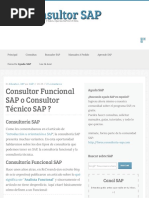 Consultor Funcional SAP o Consultor Técnico SAP ? - Ser Consultor SAP