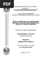 Modelo Sedimentario Del Kimmeridginao Mediante El Analisis de Microfacies en El Area de Ku, Sonda de Campeche