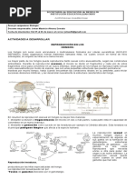 Taller Biología Grado Octavo 2020