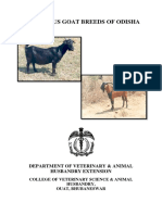 Name-Jyotisundar Rout, Admno-29v, Goat Breeds of Odisha PDF