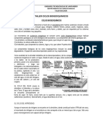 Guia Taller 2 Ciclos Biogeoquimicos