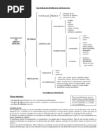 Materiales Pétreos y Metálicos