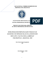 Universidad Nacional Toribio Rodríguez de Mendoza de Amazonas