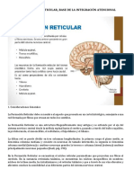 Bases Biológicas de La Psicología