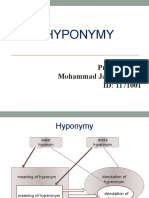 HYPONYMY Presentation