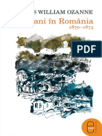 J W Ozanne - Trei Ani in Romania PDF